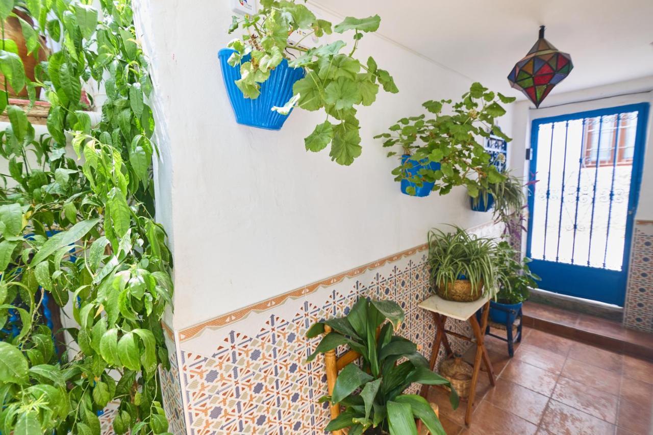 Casa El "Tablao De Las Almendras" 格拉纳达 外观 照片